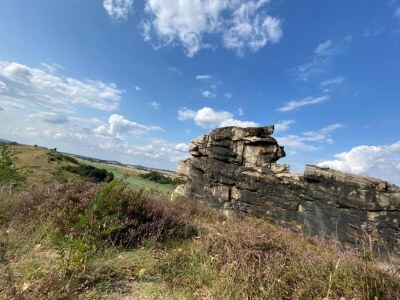 Apartment Comfort in Central Ballenstedt - Environment photo 37