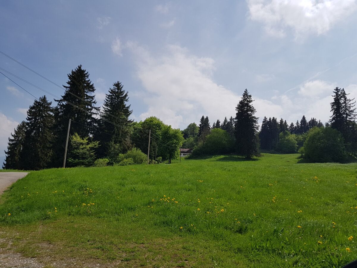 Holiday apartment Villa im Wald - Outdoor photo 3