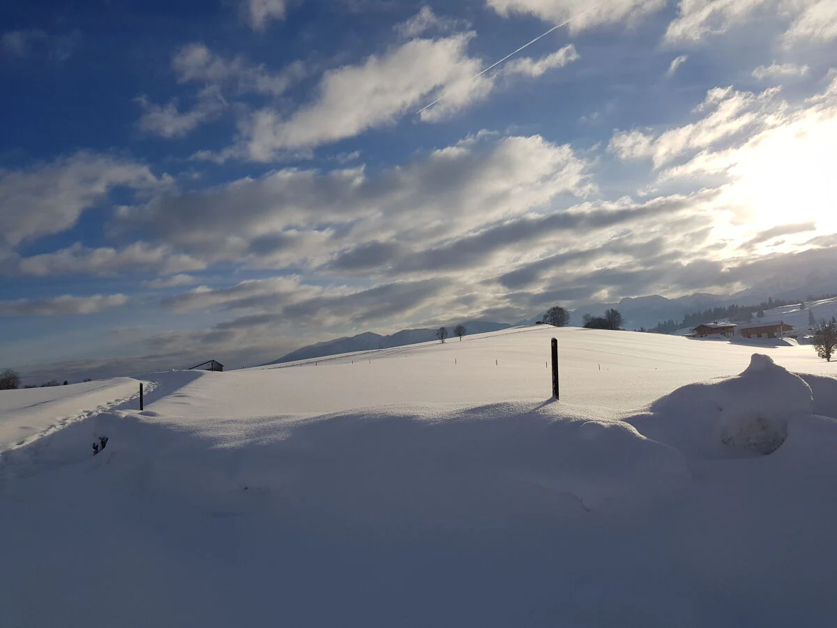 Holiday apartment Villa im Wald - Outdoor photo 4