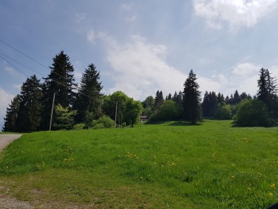 Holiday apartment Villa im Wald - Outdoor photo 3