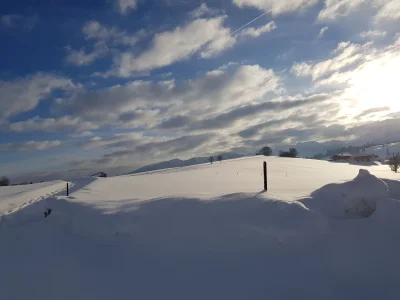 Holiday apartment Villa im Wald - Outdoor photo 4