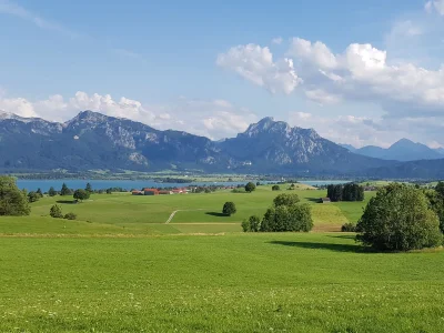 Holiday apartment Villa im Wald - Outdoor photo 6