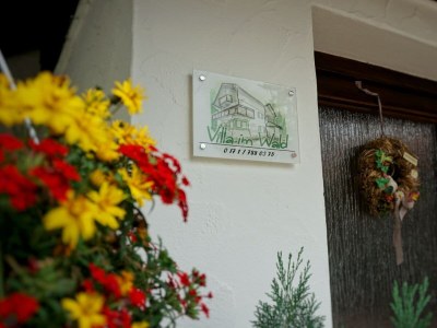 Holiday apartment Villa im Wald - Outdoor photo 7