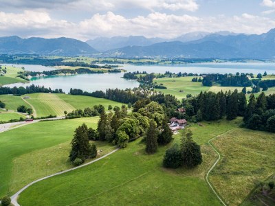 Holiday apartment Villa im Wald - Outdoor photo 8