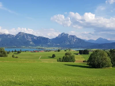 Holiday apartment Villa im Wald - Environment photo 23