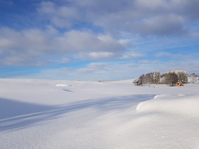 Holiday apartment Villa im Wald - Environment photo 25
