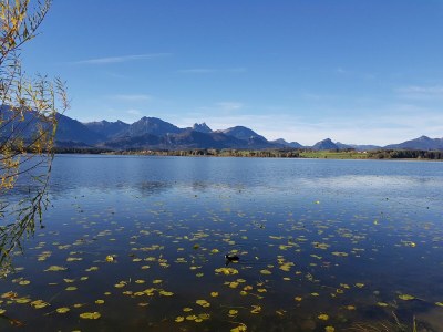 Holiday apartment Villa im Wald - Environment photo 26