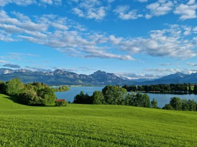 Holiday apartment Villa im Wald - Environment photo 27