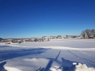 Holiday apartment Villa im Wald - Environment photo 28