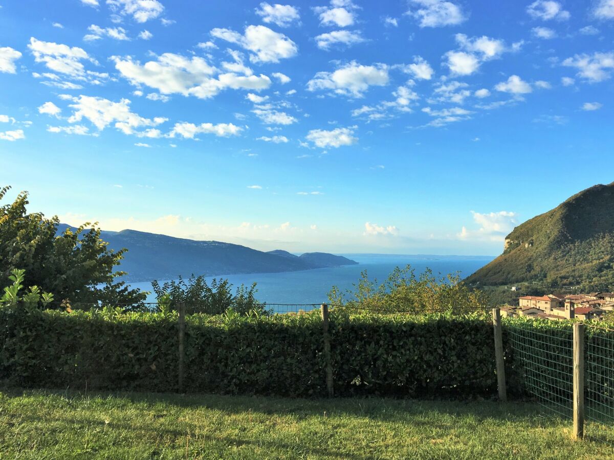 Holiday apartment Piccolo Ragno Garden - Outdoor photo 4