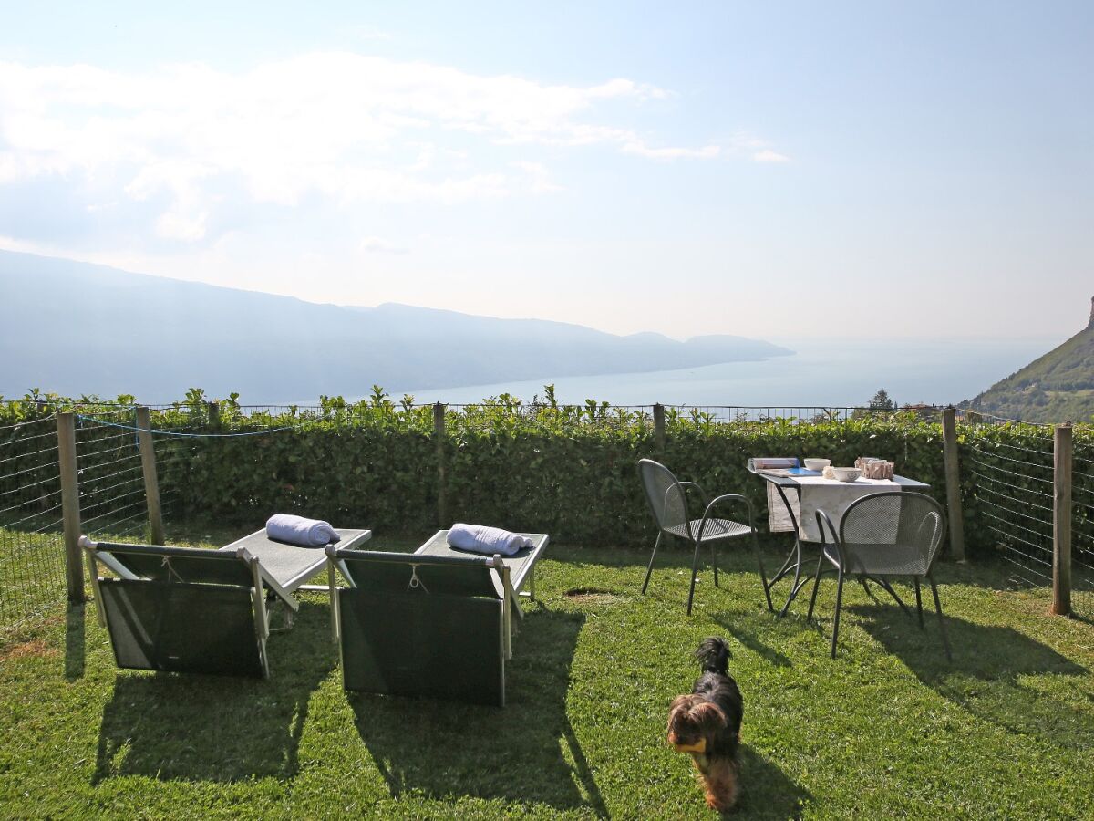 Holiday apartment Piccolo Ragno Garden - Outdoor photo 5
