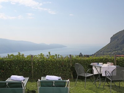 Holiday apartment Piccolo Ragno Garden - Outdoor photo 3