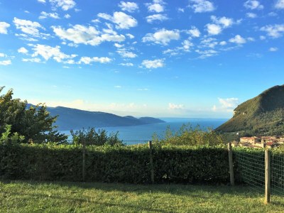 Holiday apartment Piccolo Ragno Garden - Outdoor photo 4