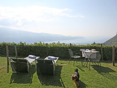 Holiday apartment Piccolo Ragno Garden - Outdoor photo 5