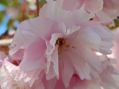 Holiday house Ferienhaus „Frieda“ - Environment photo 32