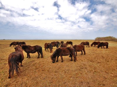 Holiday house Meeuwenstein 17 - Environment photo 13