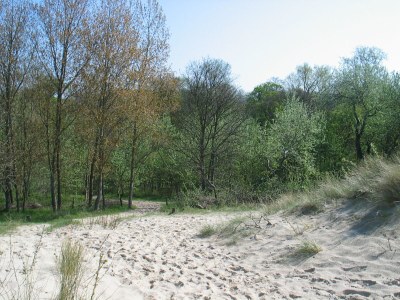 Holiday house Meeuwenstein 17 - Environment photo 16