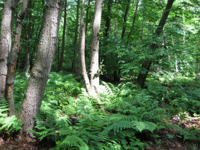 Holiday house Meeuwenstein 17 - Environment photo 18