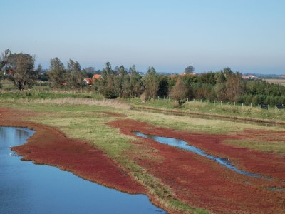 Holiday house Mytilus 17 Holiday Home - Environment photo 16