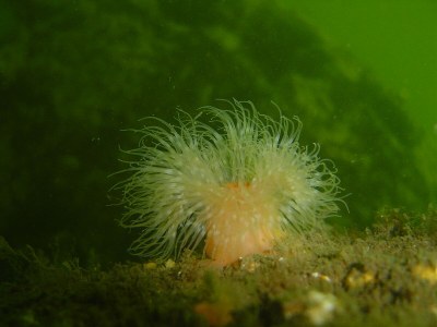 Holiday house Mytilus 17 Holiday Home - Environment photo 17