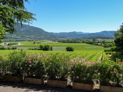 Holiday house Casa Berenike III - Environment photo 16