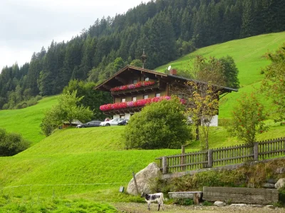 Holiday apartment Brandnerhof 1 - Outdoor photo 3