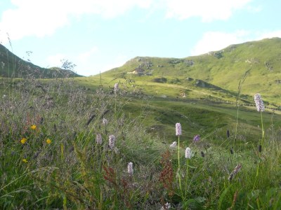 Holiday apartment Brandnerhof 1 - Environment photo 14