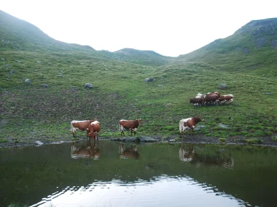 Holiday apartment Brandnerhof 1 - Environment photo 15