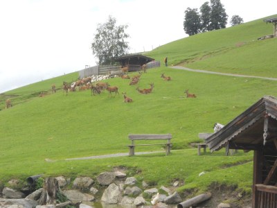 Holiday apartment Brandnerhof 1 - Environment photo 18