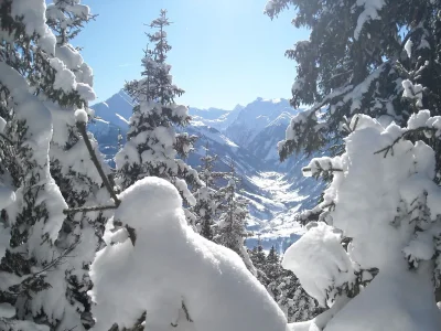 Holiday apartment Brandnerhof 1 - Environment photo 22