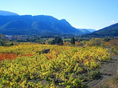Holiday house - Gite La Grange - Environment photo 18