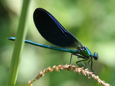 Holiday house - Gite La Grange - Environment photo 22