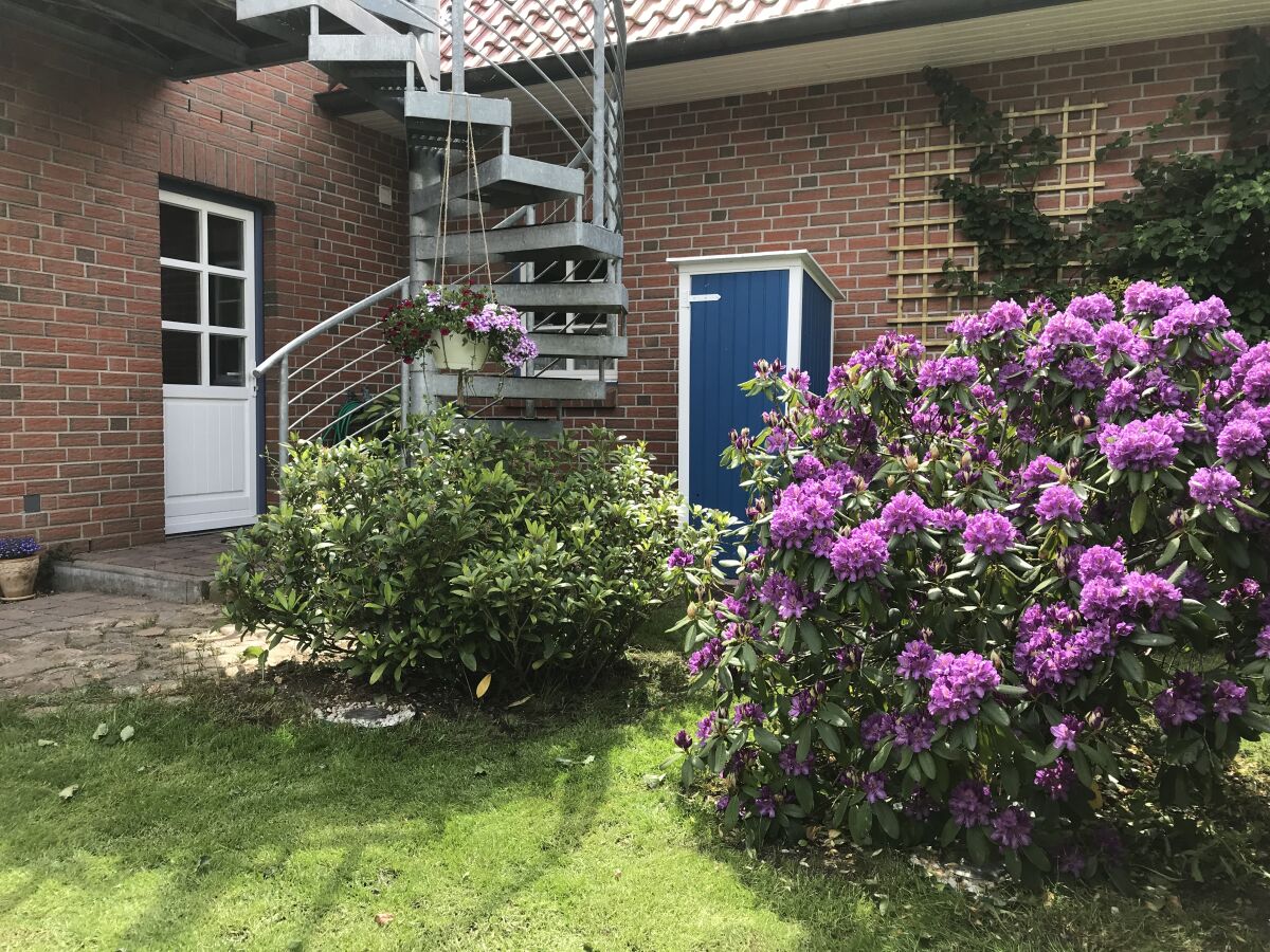 Holiday apartment Dischereit - Outdoor photo 3