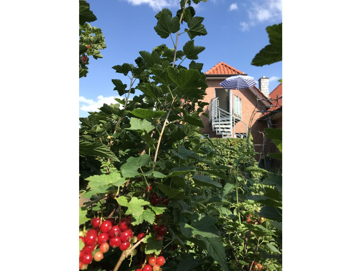 Holiday apartment Dischereit - Outdoor photo 5