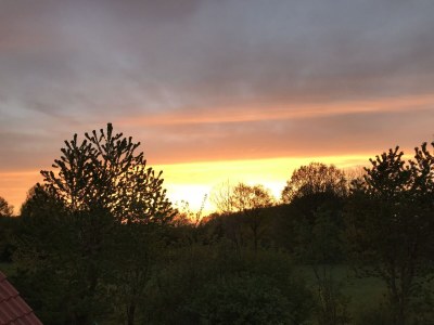 Holiday apartment Dischereit - Outdoor photo 8