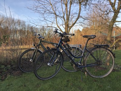 Holiday apartment Dischereit - Features photo 16