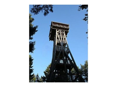 Holiday apartment Dischereit - Environment photo 17