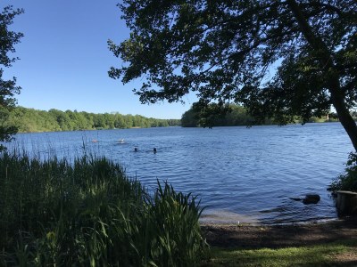 Holiday apartment Dischereit - Environment photo 18