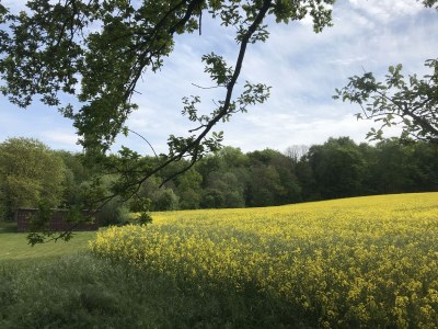 Holiday apartment Dischereit - Environment photo 19