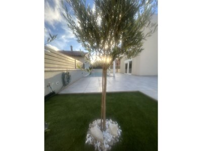 Holiday house Casa Maris - Outdoor photo 15