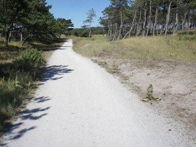 Holiday house Boerenslag 5 - Environment photo 17