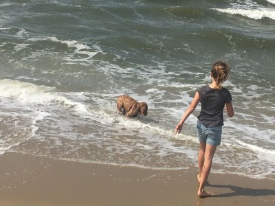 Holiday house Coastside - Environment photo 32