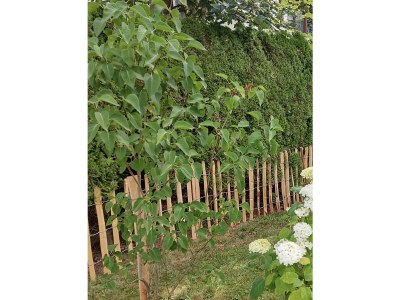 Holiday house Blum - vom Ende - Outdoor photo 8