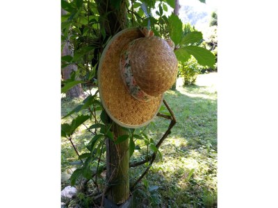 Holiday house Blum - vom Ende - Outdoor photo 9