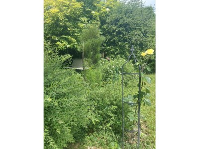 Holiday house Blum - vom Ende - Outdoor photo 10