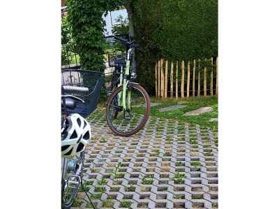 Holiday house Blum - vom Ende - Outdoor photo 13