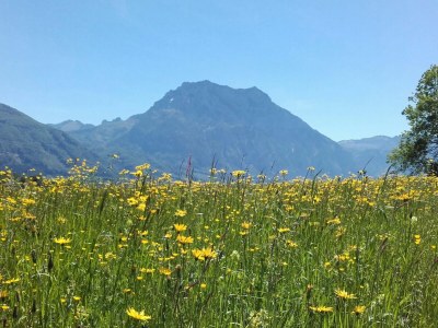 Holiday house Blum - vom Ende - Environment photo 28