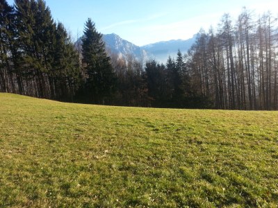 Holiday house Blum - vom Ende - Environment photo 30