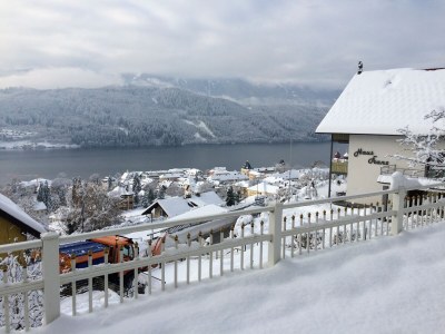 Holiday apartment Villa Seeblick Souterrain - Outdoor photo 11