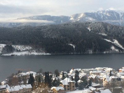 Holiday apartment Villa Seeblick Souterrain - Outdoor photo 12